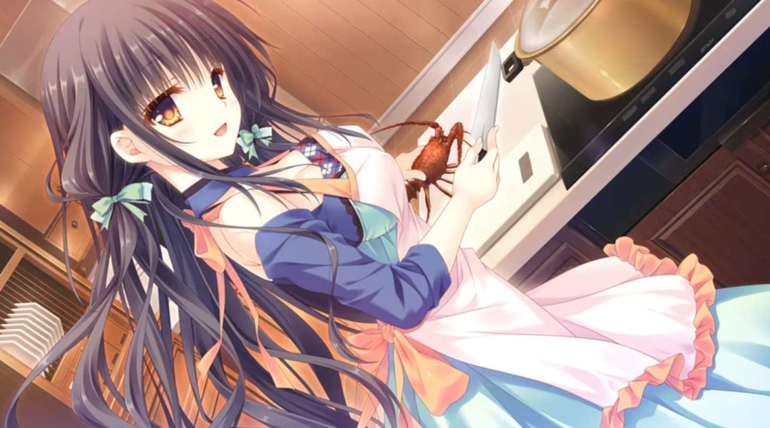 少女＊领域 おとめ＊どめいん PC/安卓/KR&TY模拟器版 校园恋爱喜剧AVG 精翻汉化典藏版