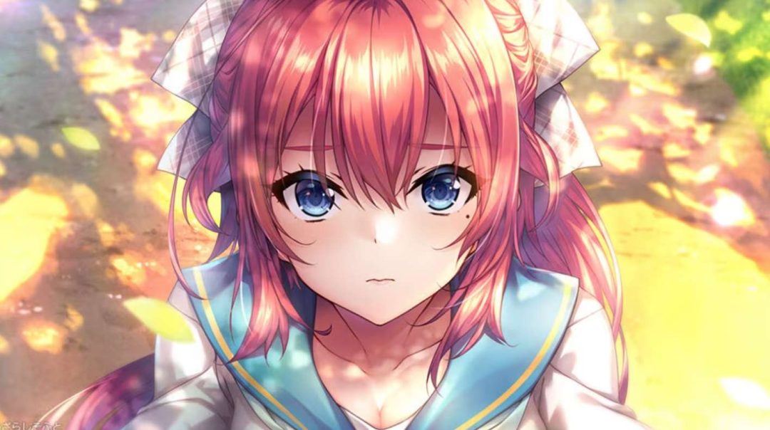 甜蜜夏日系列合集 あまなつシリーズ PC/TY模拟器版 纯爱治愈系视觉小说AVG 精翻汉化典藏版