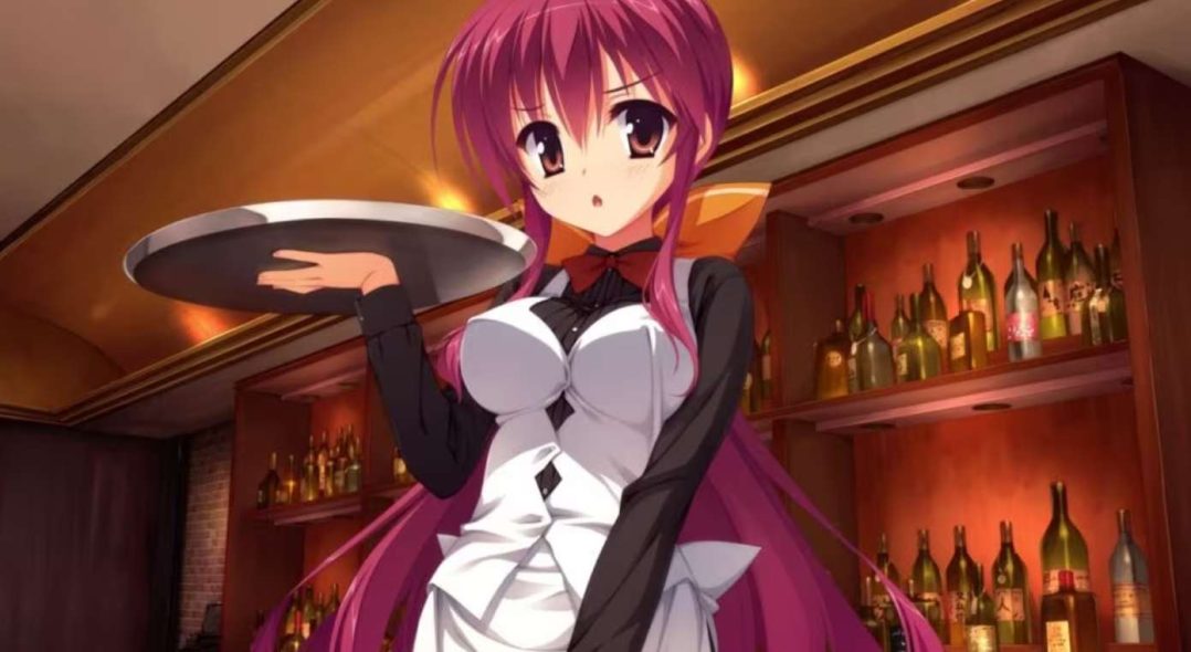 PC+安卓直装+KR&TY模拟器版 DRACU-RIOT! 通关全CG存档+精翻汉化图片-1