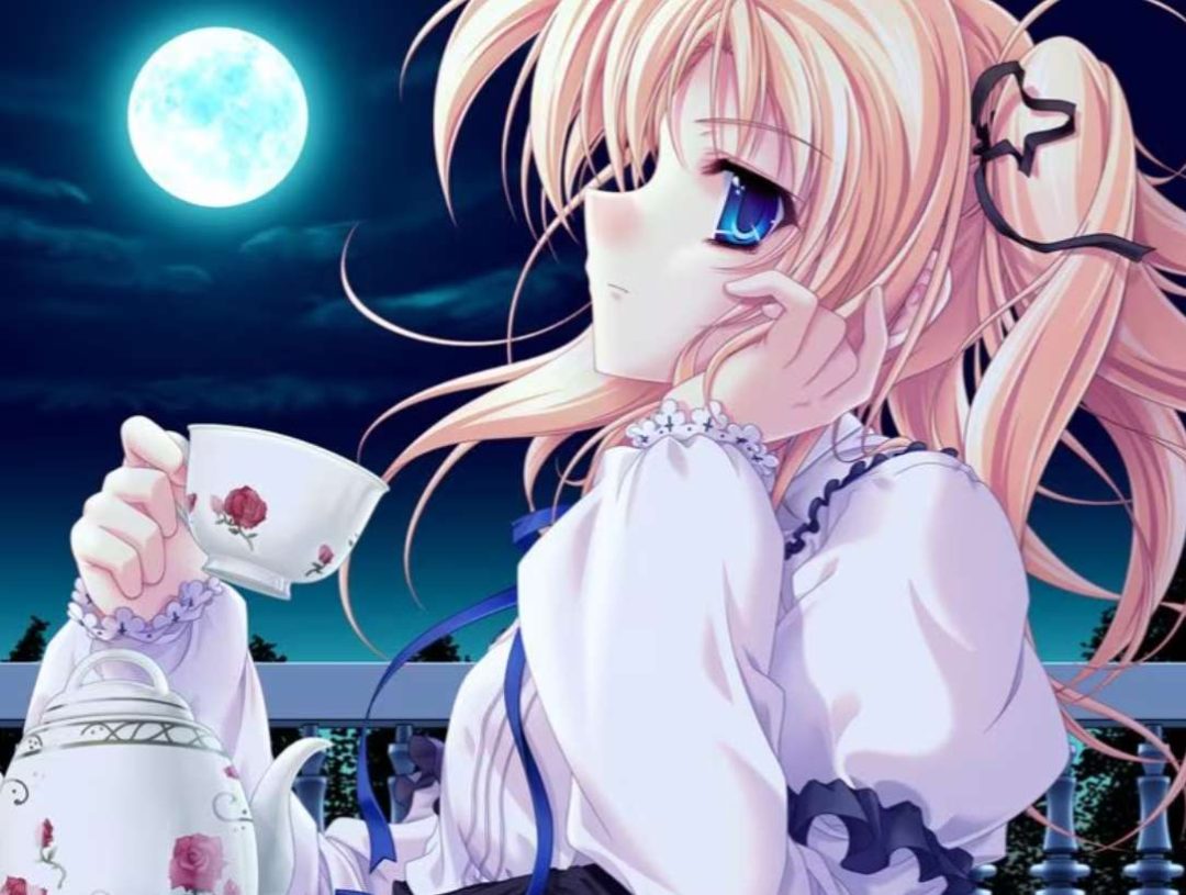 她们的流仪 彼女たちの流儀 Their Styles PC版 日系视觉小说恋爱冒险 精翻汉化典藏版图片-1 她们的流仪 彼女たちの流儀 Their Styles PC版 日系视觉小说恋爱冒险 精翻汉化典藏版图片-1