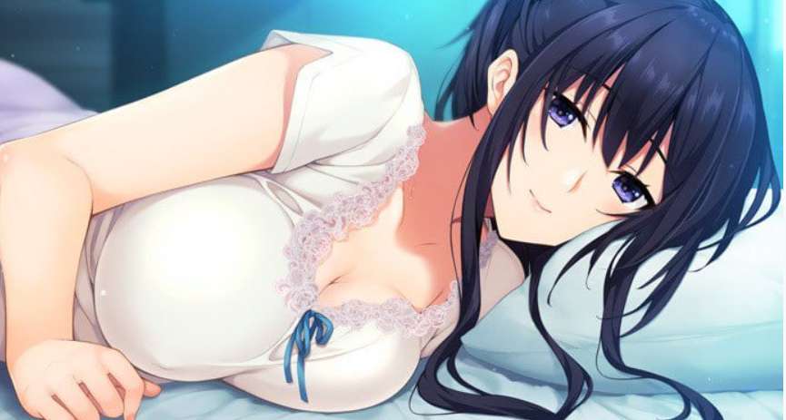 水蓮と紫苑 水莲与紫苑 PC+KRKR版本 gal类型