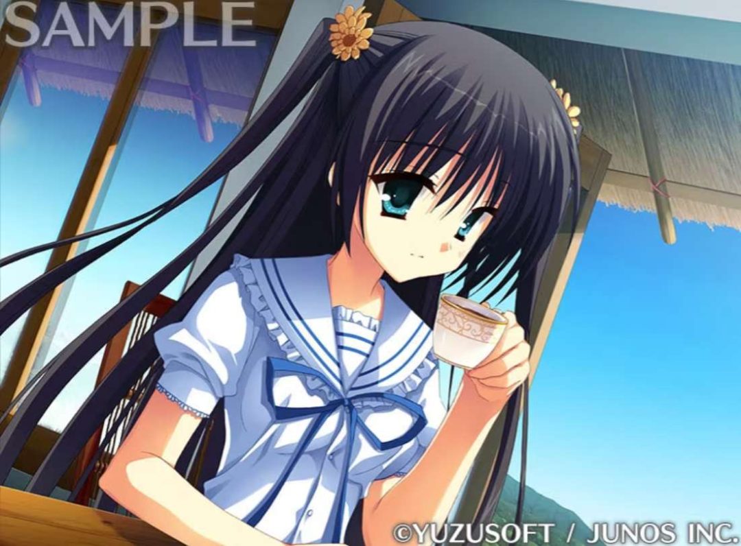 夏空彼方：塔弦之雪 Natsora Kanata Snow of Tasen PC/KRKR/TY模拟器三端 柚子社本篇+茅羽耶END2后日谈 全CG存档精翻整合版图片-1